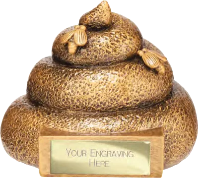 Total Spoon Fun Award