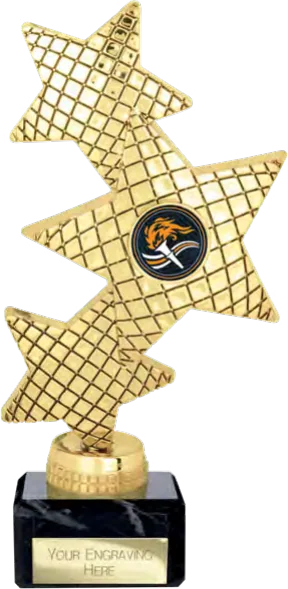 Trinity Star Multisport Gold