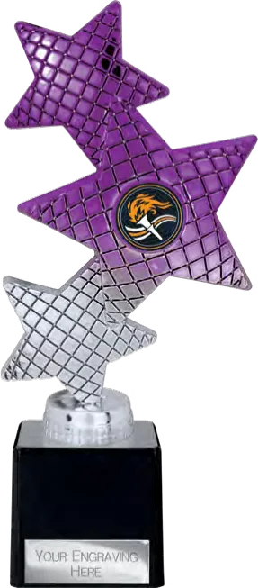 Trinity Star Purple & Silver (TR25594A)
