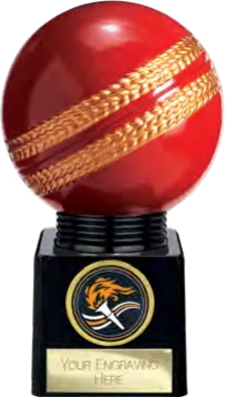Valiant Legend Cricket