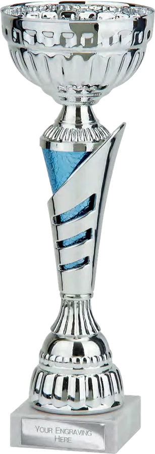 Vanquish Silver & Blue