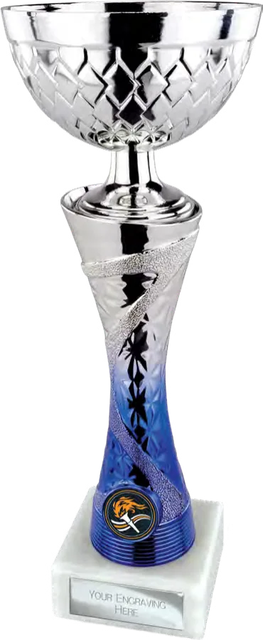 Vigor Black & Silver
