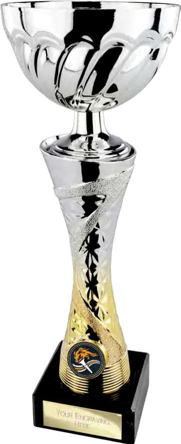 Vigor Silver & Gold