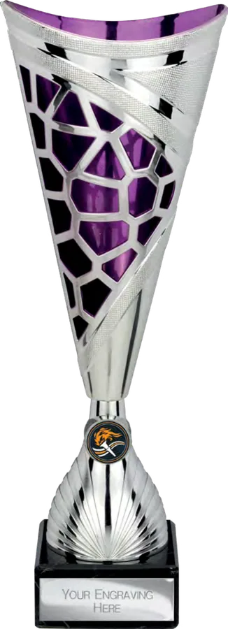 Vivid Purple & Silver