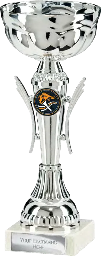 Voyager Silver