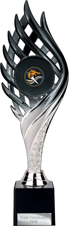 Wildfire Black & Silver (TR26555A)