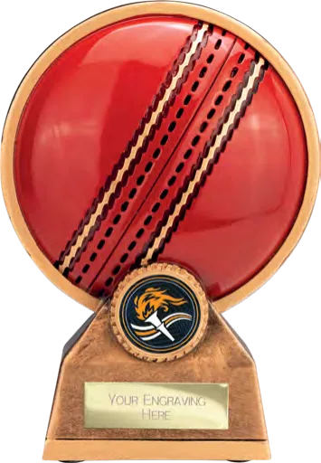 Zenith Cricket